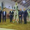 Foto: Federação Equestre Portuguesa